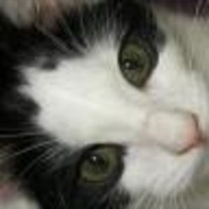 Meet your Posher, Mindy